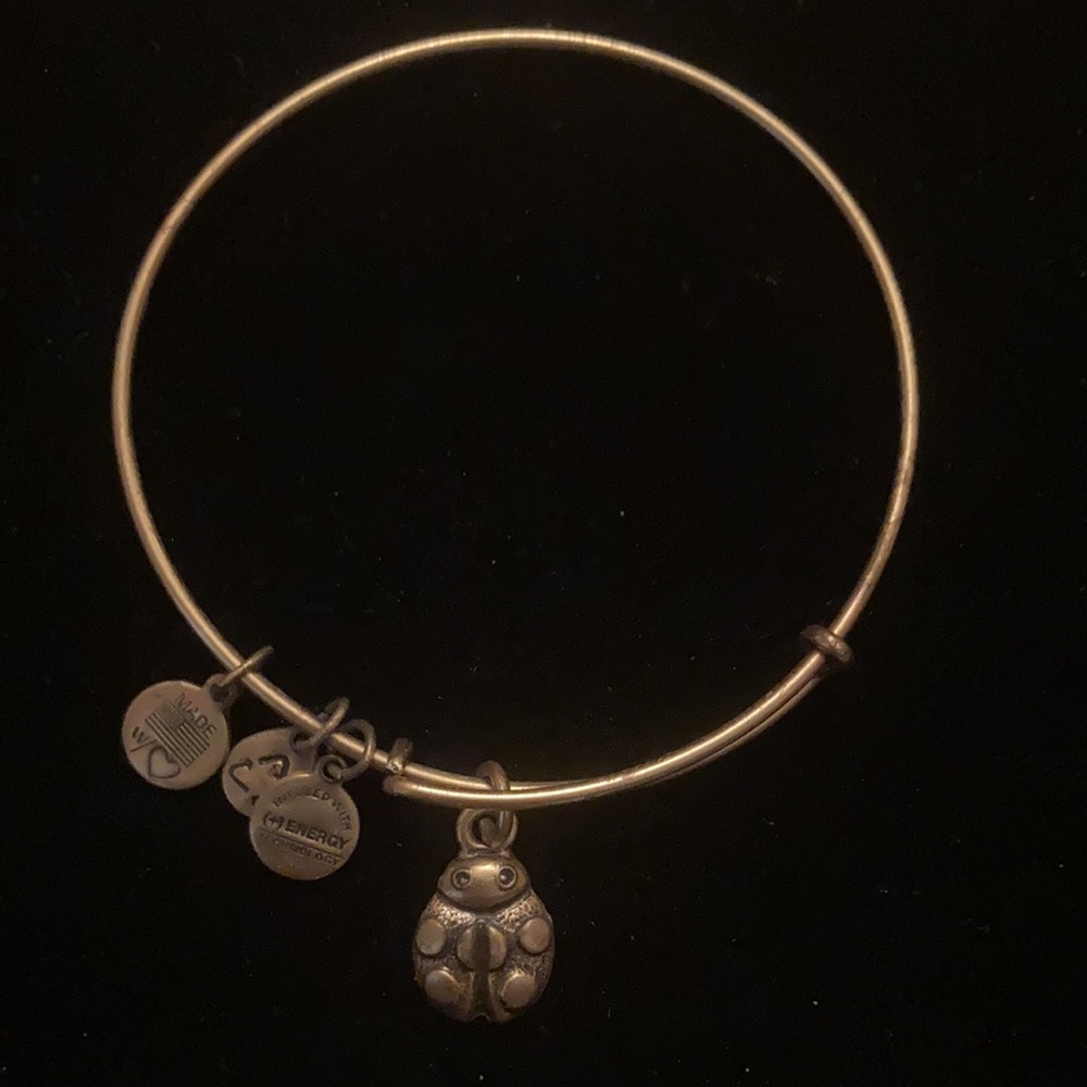 Alex and Ani Ladybug Bracelet